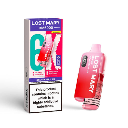 lost-mary-pod-and-charger